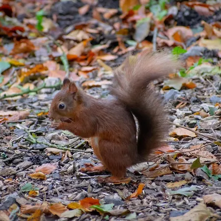 1 Bed In 94120 Dom wakacyjny