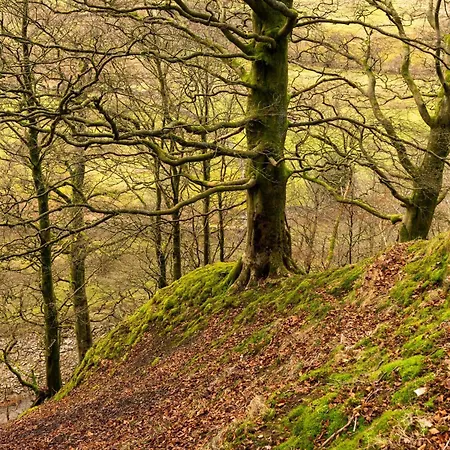 1 Bed In 94120 Dom wakacyjny *