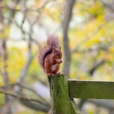 Semesterbostad 1 Bed In 94120 *
