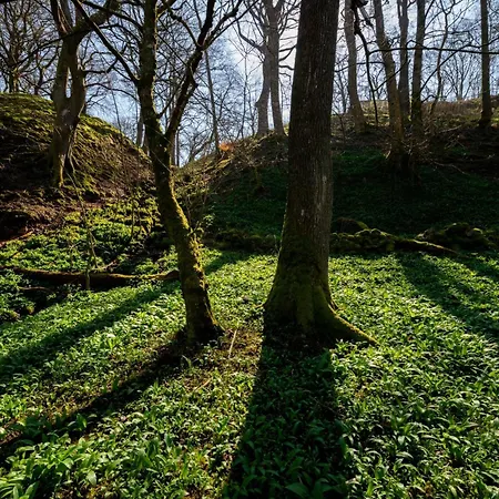 1 Bed In 94120 Hawes