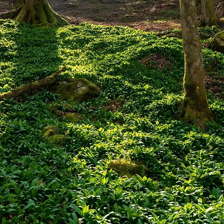 1 Bed In 94120 Semesterbostad *