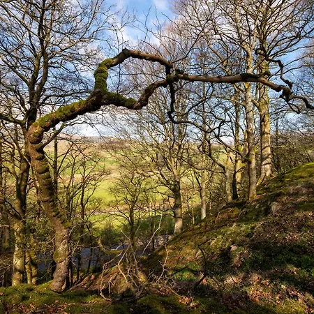 1 Bed In 94120 Semesterbostad